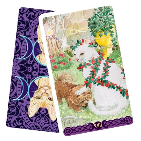 Tarot featuring pagan cats